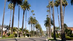 Encuentra vuelos baratos desde Costa Rica $[,, preposition:'to ']$[,, article:'to ']$[,, place:'to']