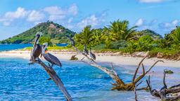 Hoteles en Grenada