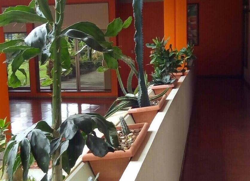 Balcón Foto