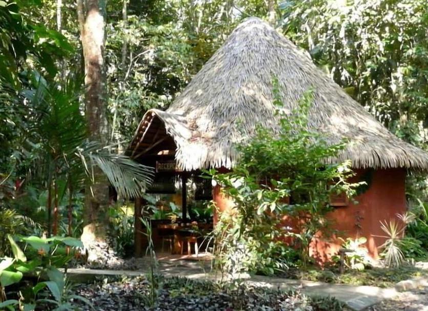 Vista del exterior Foto