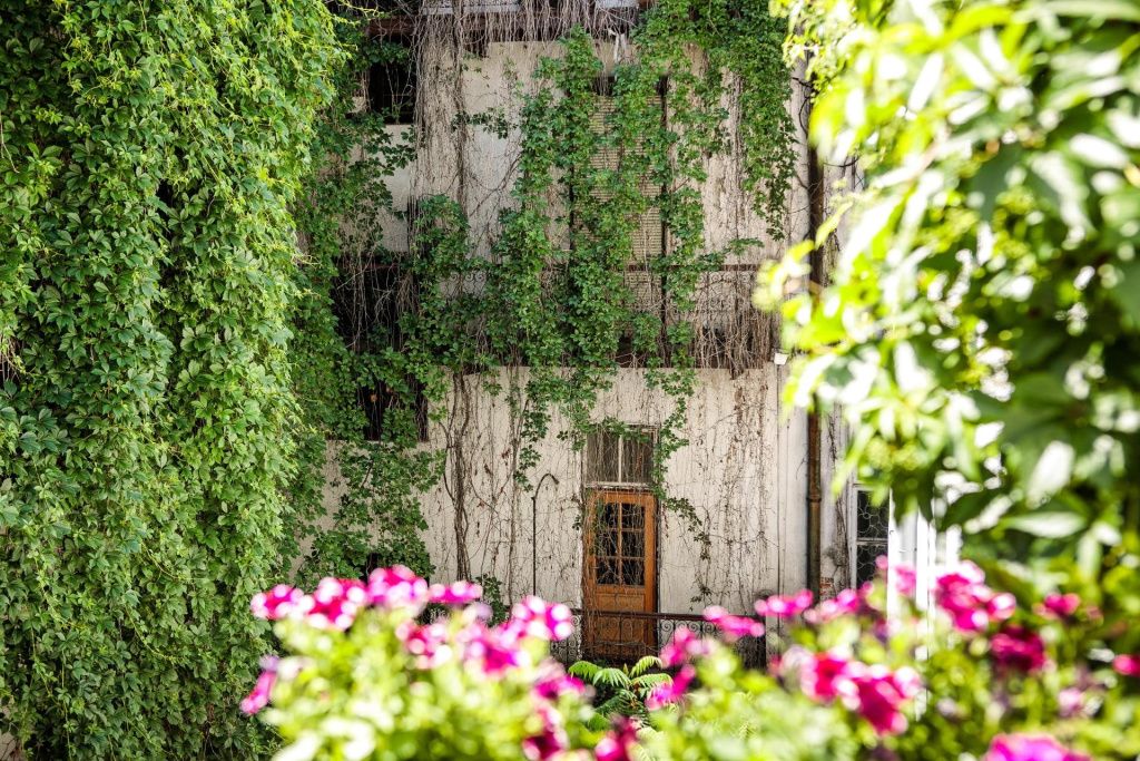 Vista del exterior