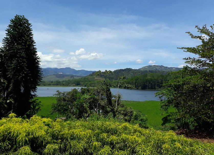 Vista del exterior Foto