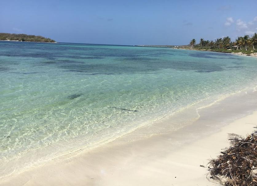 Playa Foto
