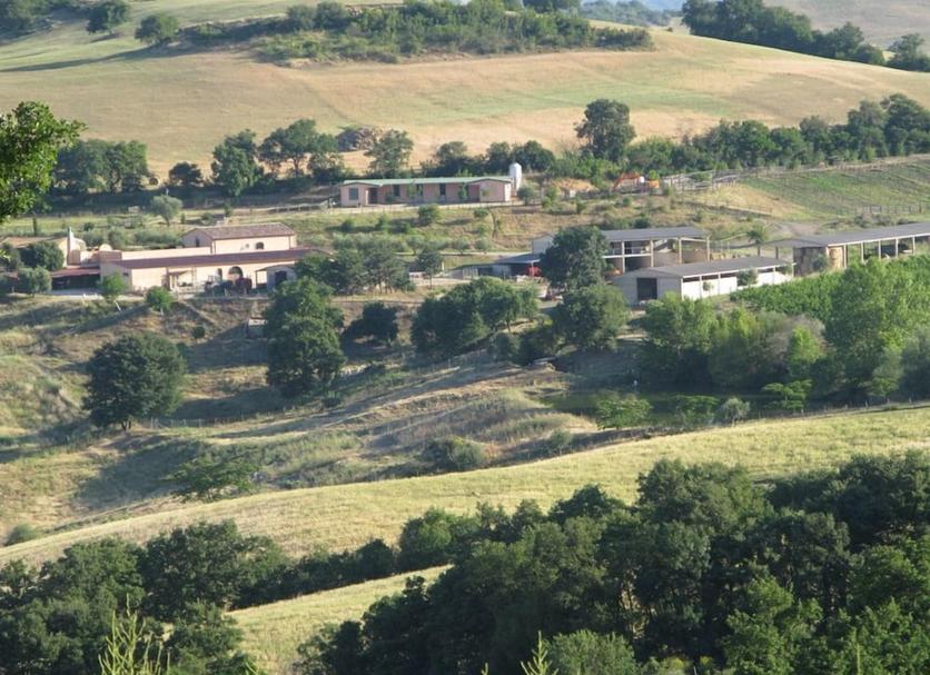 Vista del exterior Foto