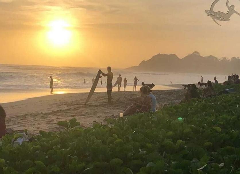 Otros Foto