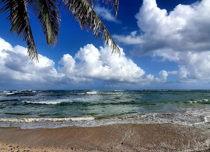 Playa Foto