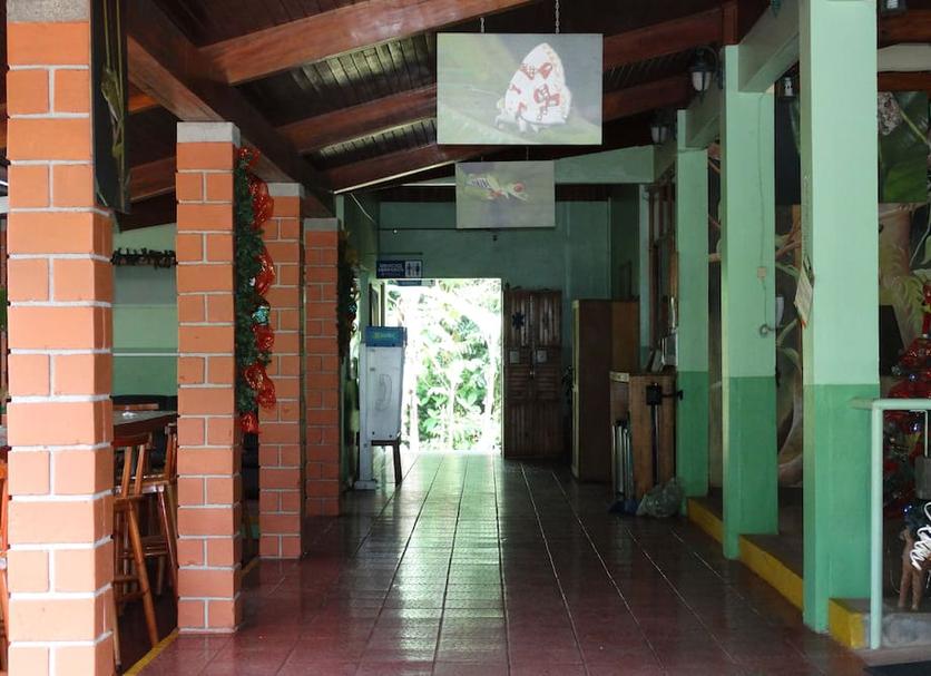 Otros Foto