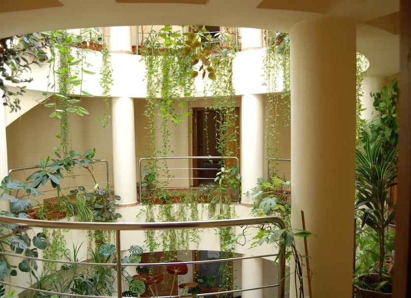 Vista del exterior Foto
