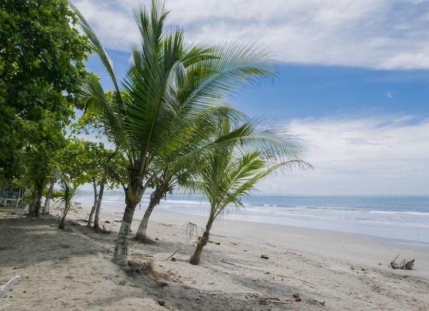Playa Foto