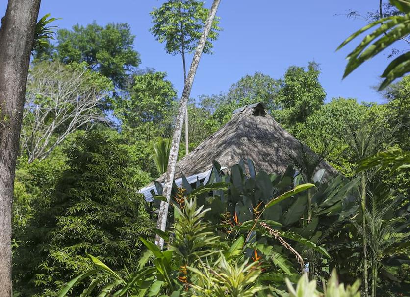 Vista del exterior Foto
