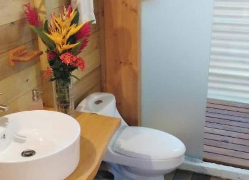 Baño Foto