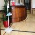 Recepción