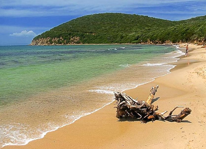 Playa Foto
