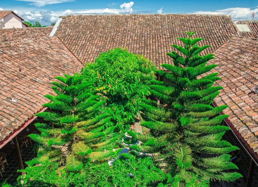 Vista del exterior Foto