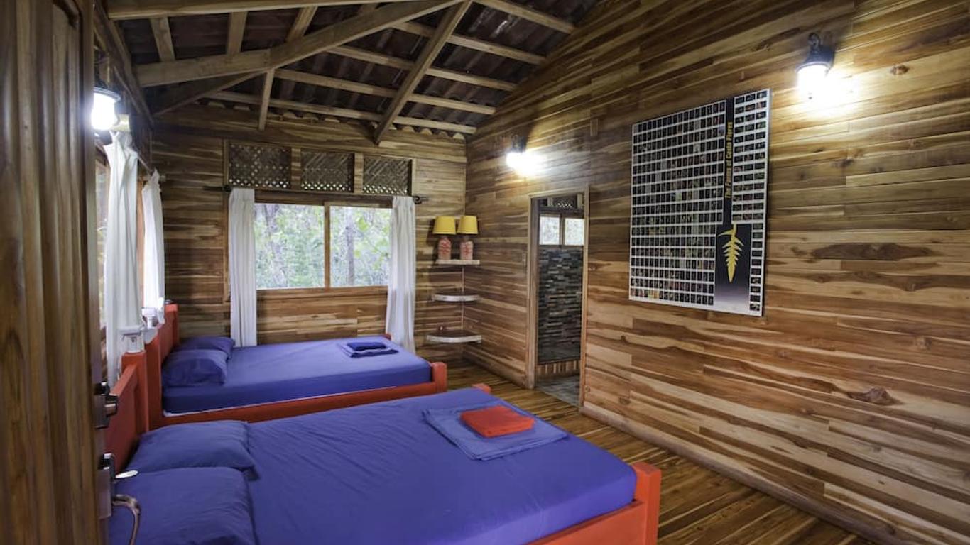 Macaw Lodge