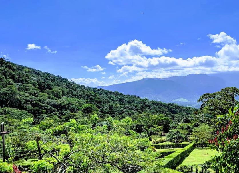 Vista del exterior Foto