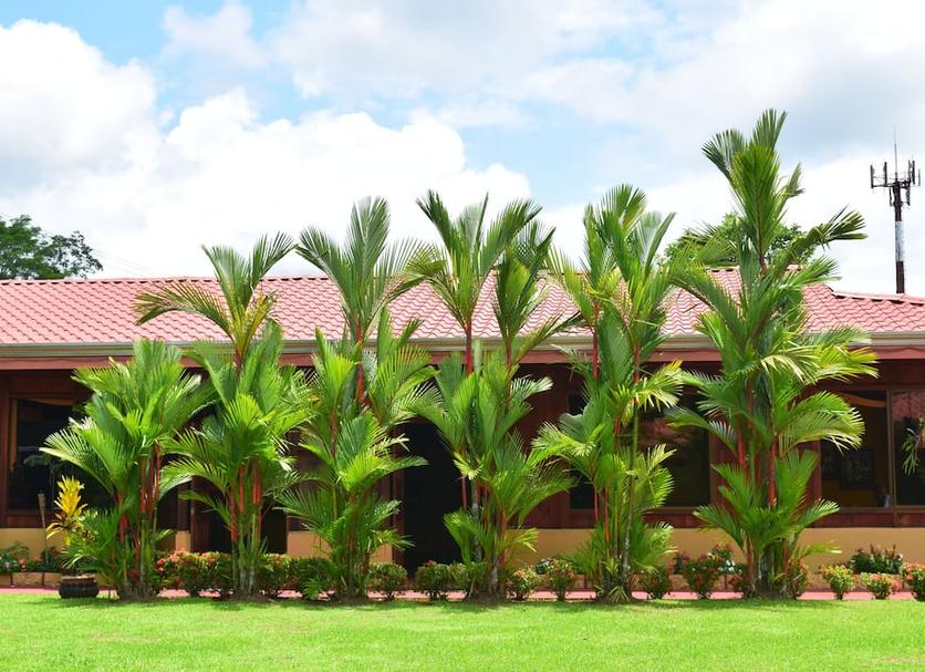 Vista del exterior Foto