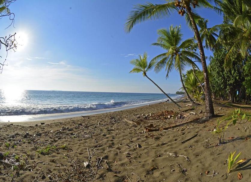 Playa Foto
