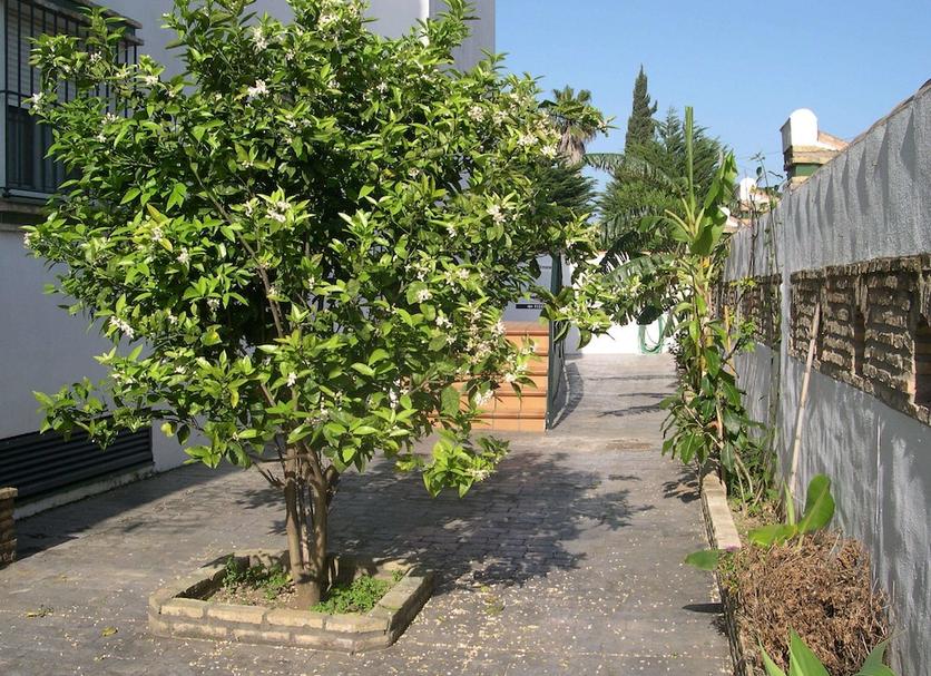 Vista del exterior Foto