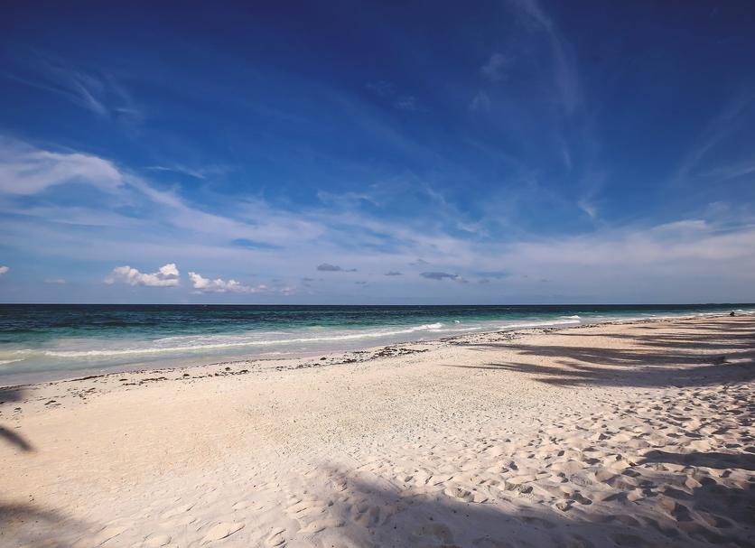 Playa Foto